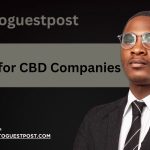 SEO for CBD Companies: Grow Online Without Paid Ads