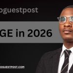SGE in 2026: What the Data Reveals About AI Search