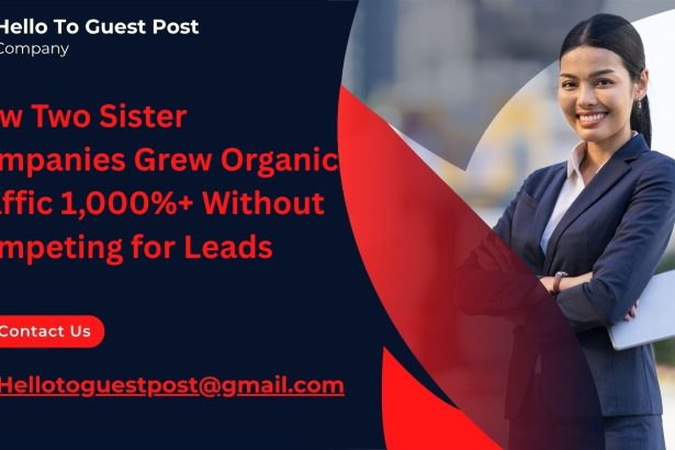 How Two Sister Companies Grew Organic Traffic